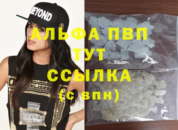 прущие грибы Володарск