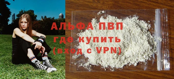 прущие грибы Володарск