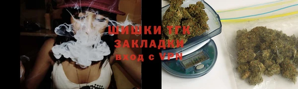 прущие грибы Володарск
