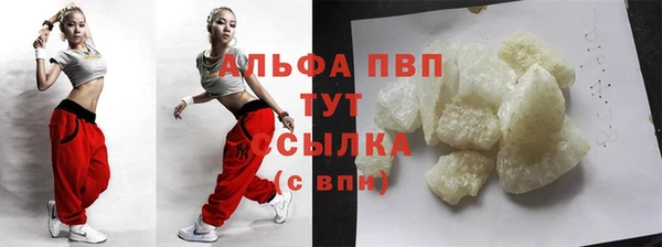 прущие грибы Володарск