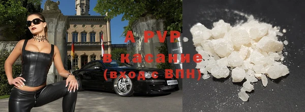 прущие грибы Володарск