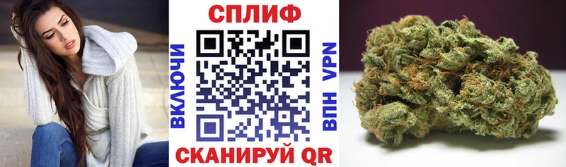 Купить где  Корсаков  МАРИХУАНА OG Kush 